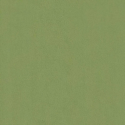 Set di divani 2 pz Verde chiaro Velluto | homemem39