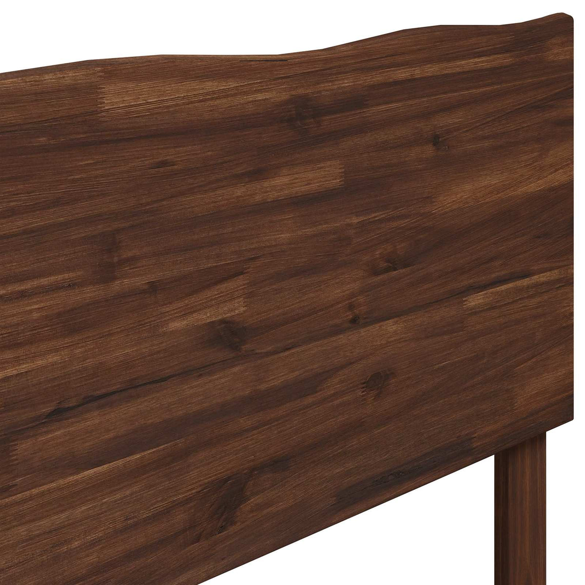 Testiera con bordo vivo ROSTOCK Marrone Scuro 75 cm | homemem39