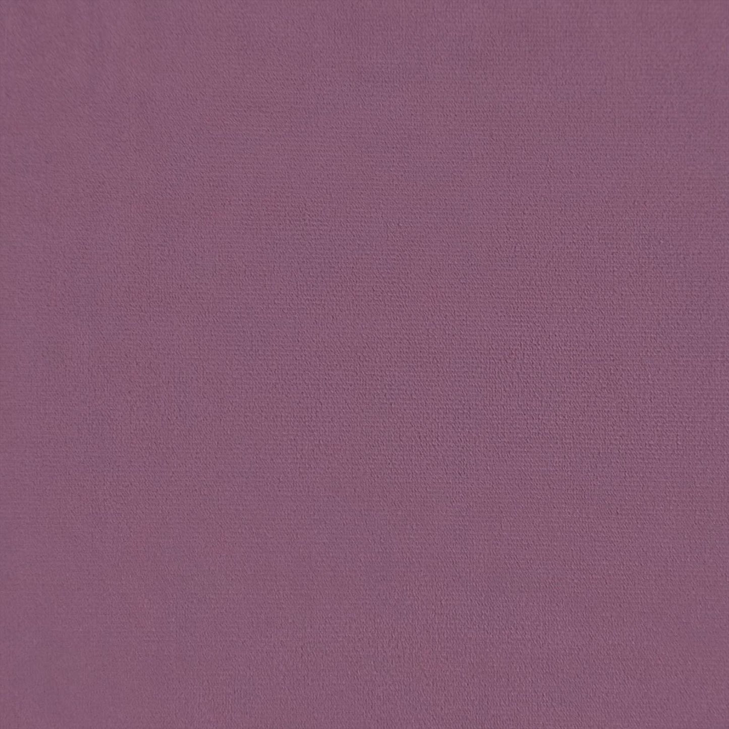 Divano a 2 Posti Viola 158 x 83 x 95 cm Velluto | homemem39
