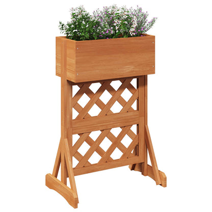 Trellis da Giardino Verticale Arancione 48 x 30 x 70,5 cm | homemem39
