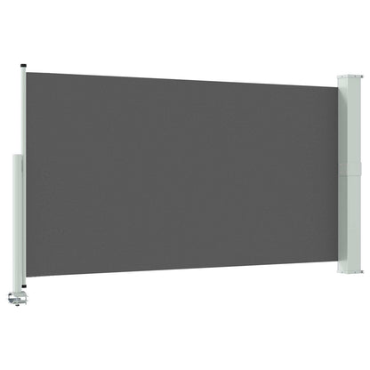 Tenda laterale Antracite 300 x 160 cm | homemem39