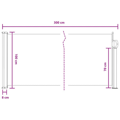 Tenda laterale retrattile Sabbia 300 x 100 cm Poliestere | homemem39