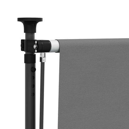 Tenda a Rullo Esterna Grigio Chiaro 100 x 270 cm | homemem39