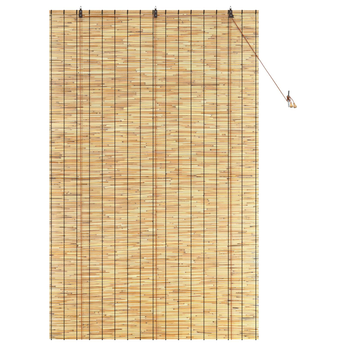 Tenda a rullo Naturale 140 x 220 cm Giunco | homemem39
