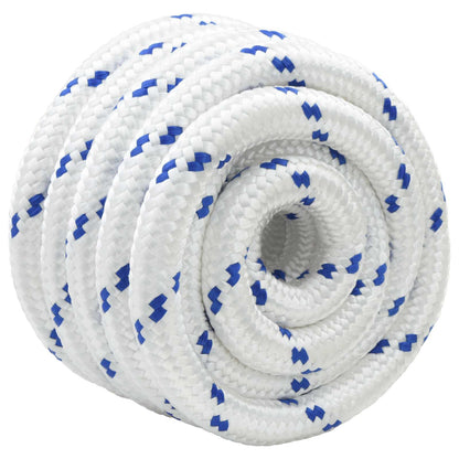 Corda da Barca 10 m 5 Bianco e Blu PP | homemem39