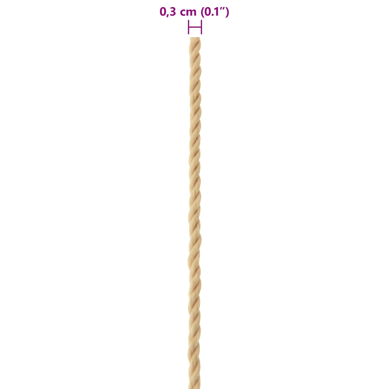 Corda da Barca 50 m 0.3 Naturale PP | homemem39