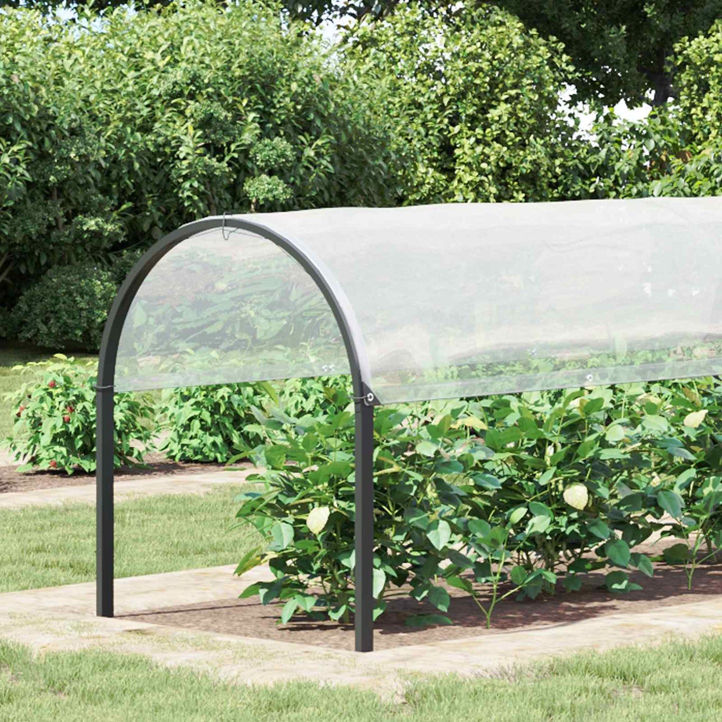 Copertura per Piante Trasparente 2 x 12 m PE | homemem39