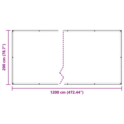Copertura per Piante Trasparente 2 x 12 m PE
