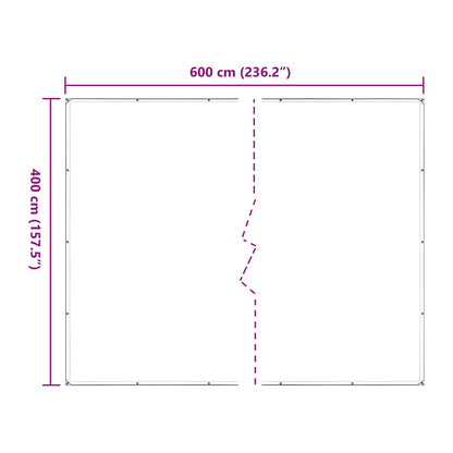 Copertura per Piante Trasparente 4 x 6 m PE