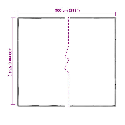 Copertura per Piante Trasparente 4 x 8 m PE | homemem39