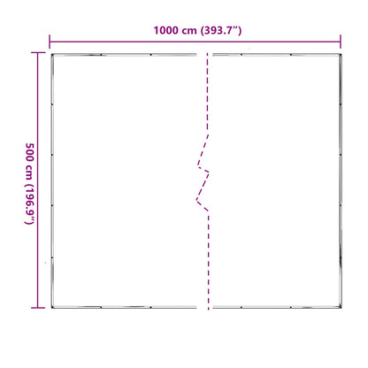Copertura per Piante Trasparente 5 x 10 m PE