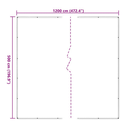 Copertura per Piante Trasparente 5 x 12 m PE | homemem39