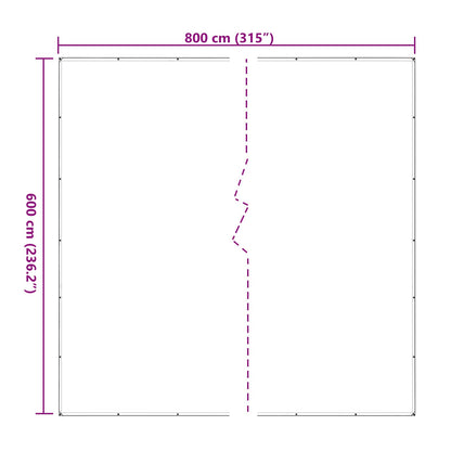 Copertura per Piante Trasparente 6 x 8 m PE | homemem39