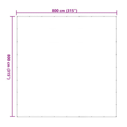 Copertura per Piante Trasparente 8 x 8 m PE | homemem39