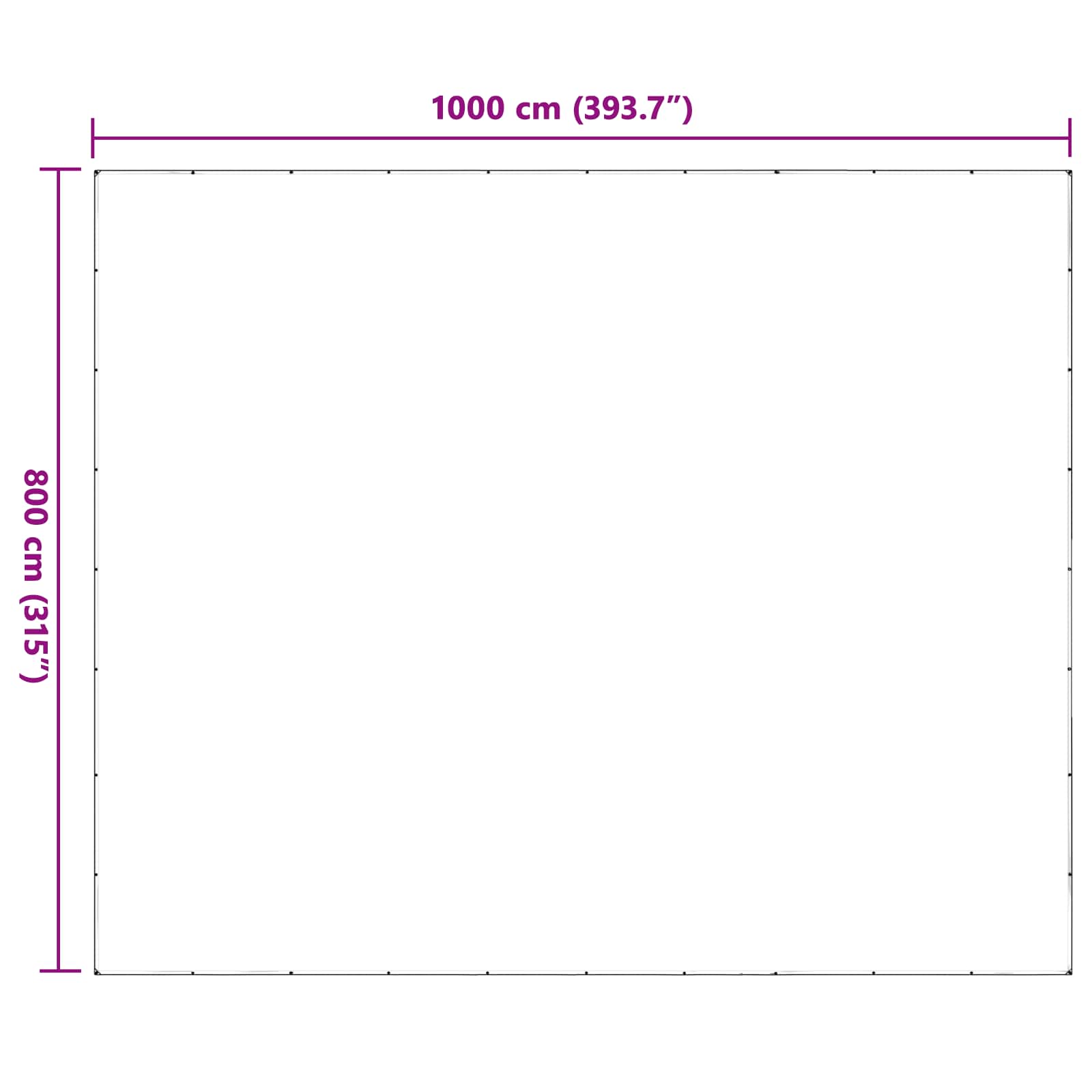 Copertura per Piante Trasparente 8 x 10 m PE | homemem39