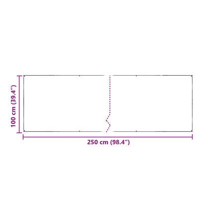 Copertura per Piante Trasparente 2,5 x 1 m PE | homemem39