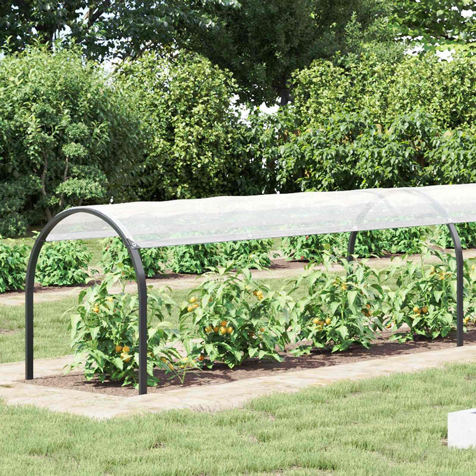 Telo con Occhielli Trasparente 10 x 1,5 m Polietilene | homemem39