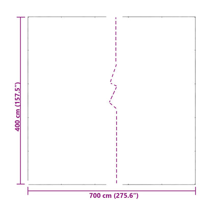 Copertura per Piante Trasparente 7 x 4 m PE