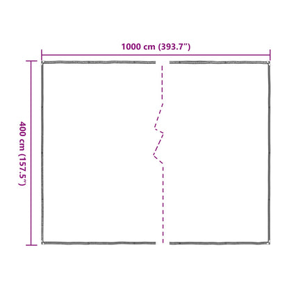 Copertura per Piante Trasparente 4 x 10 m PE