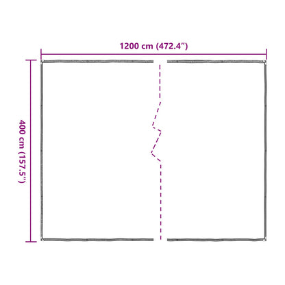 Copertura per Piante Trasparente 4 x 12 m PE | homemem39
