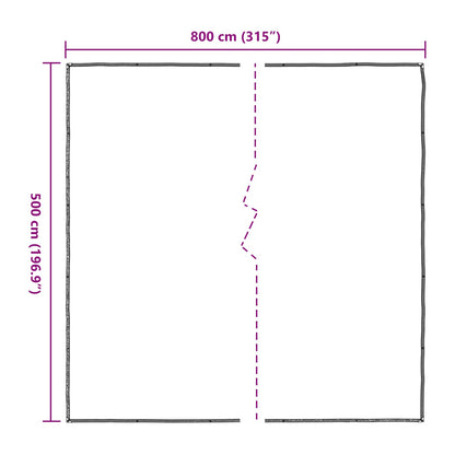 Copertura per Piante Trasparente 5 x 8 m PE