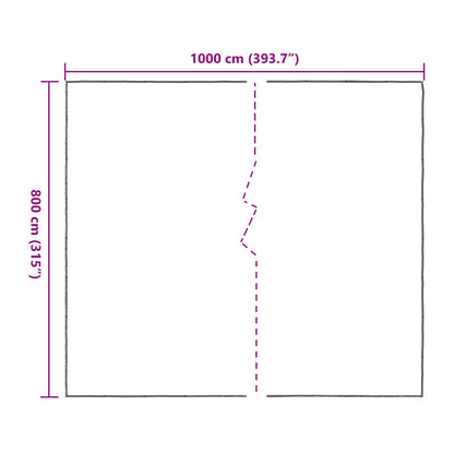 Copertura per Piante Trasparente 8 x 10 m PE | homemem39