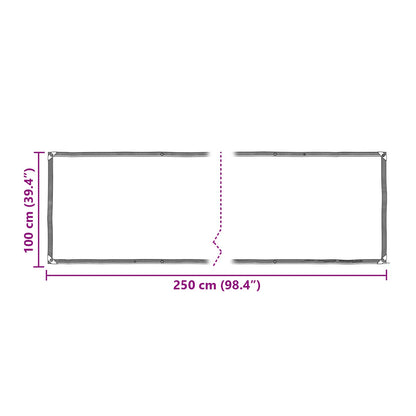 Copertura per Piante Trasparente 2,5 x 1 m PE | homemem39