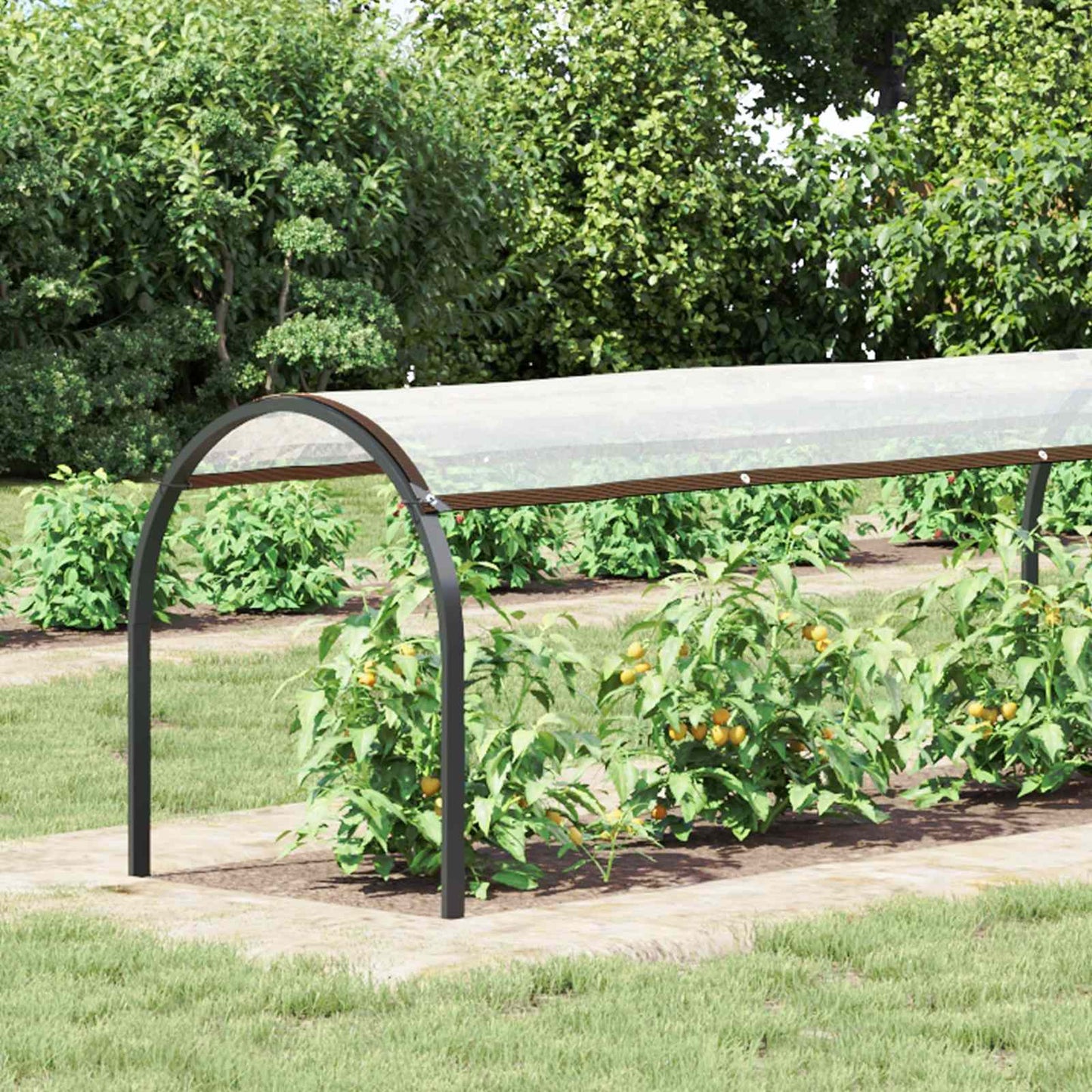 Copertura per Piante Trasparente 2,5 x 1,5 m PE | homemem39