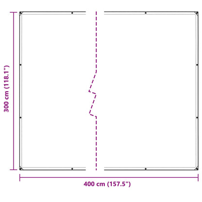 Copertura per Piante Trasparente 3 x 4 m PVC | homemem39