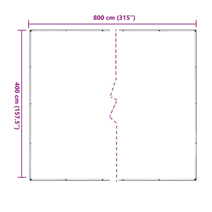 Copertura per Piante Trasparente 4 x 8 m PVC | homemem39