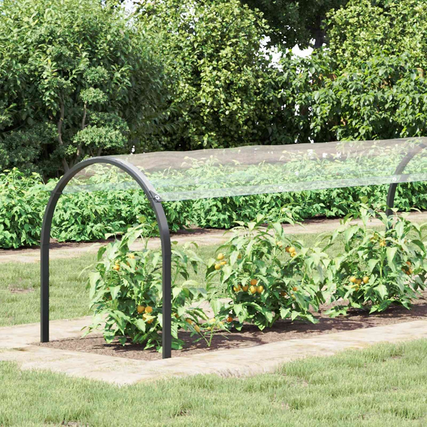 Copertura per Piante Trasparente 20 x 1,5 m PVC | homemem39