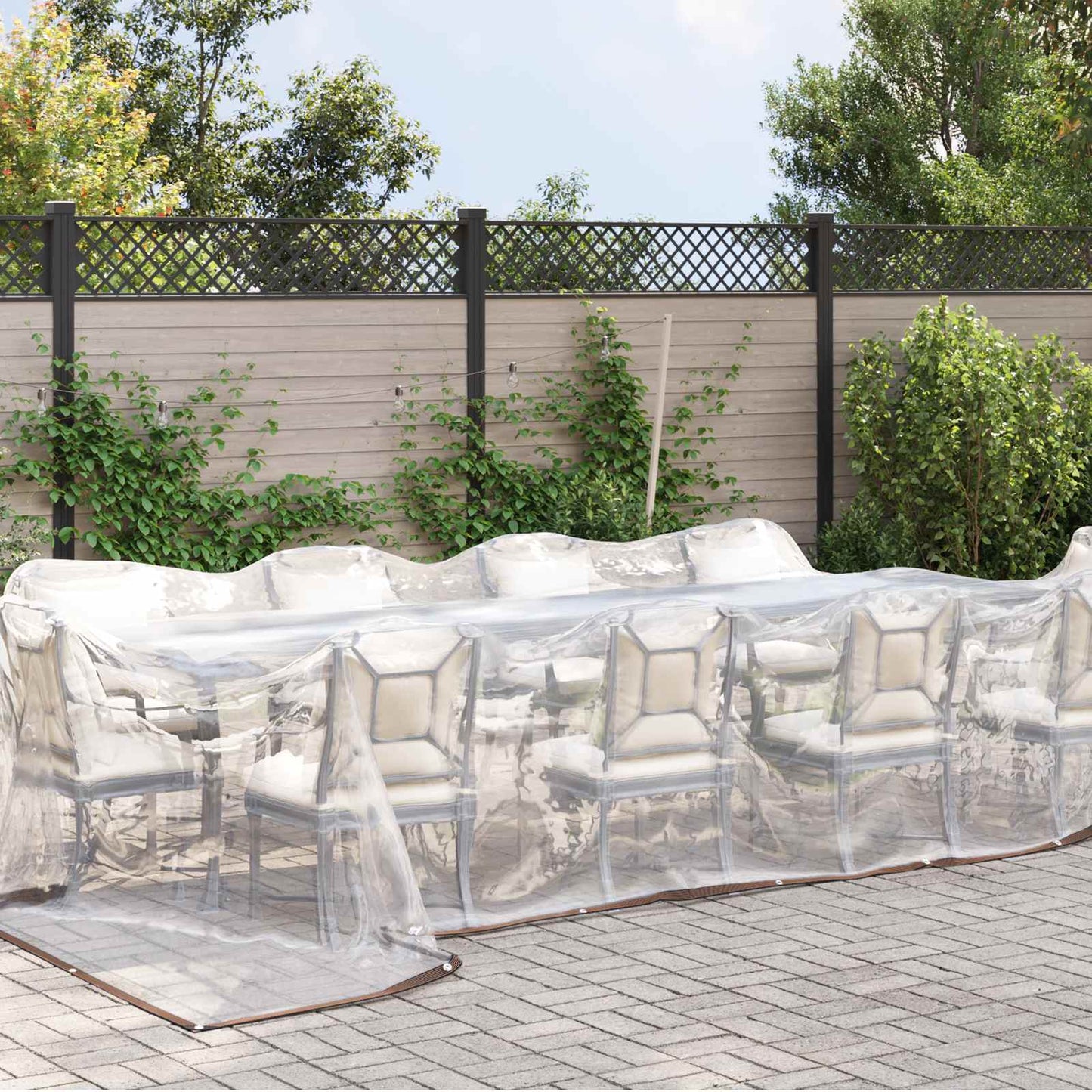 Tarp Trasparente 7 x 5 m PE