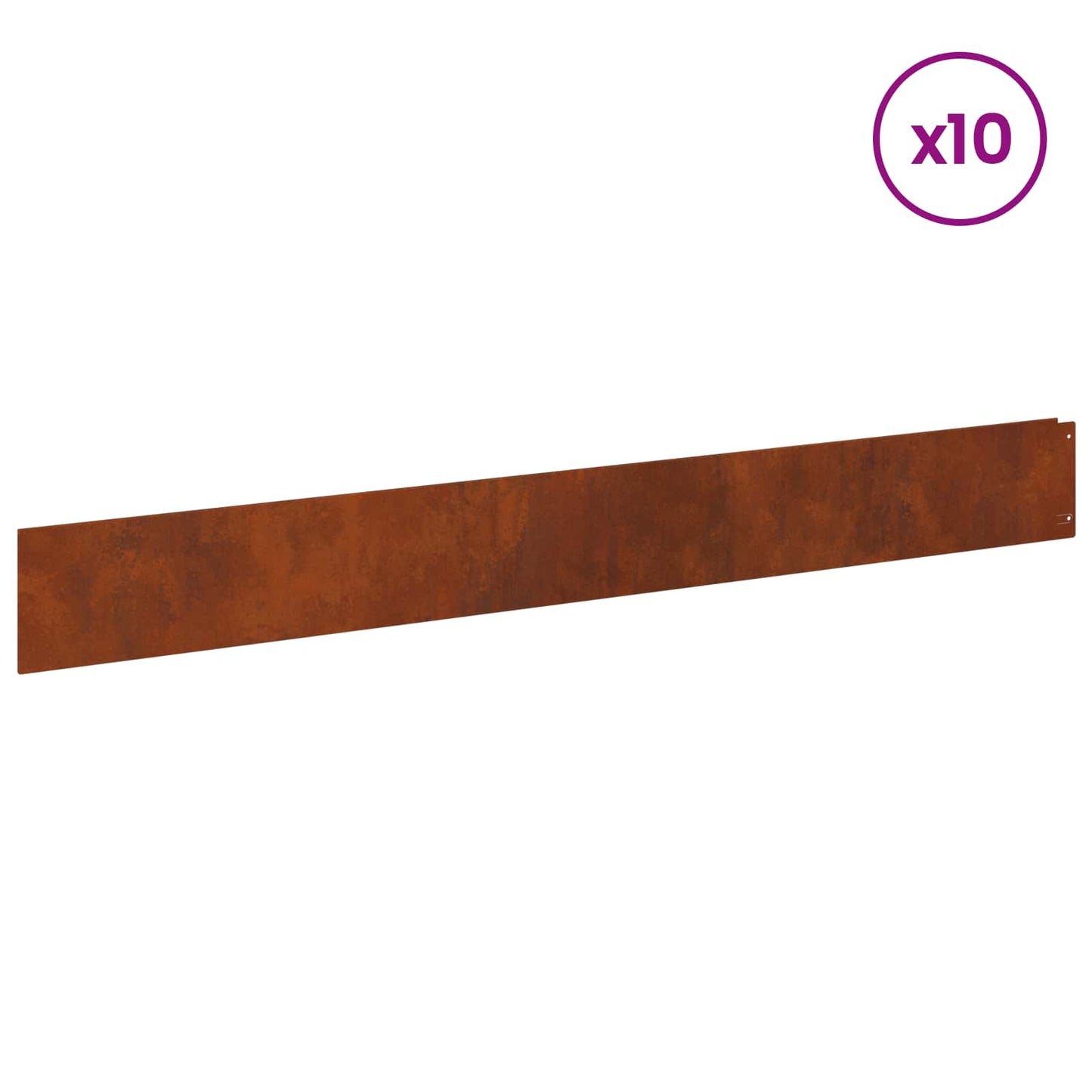 Bordura per Prato 10 pcs 100 x 12 cm Acciaio Ruggine | homemem39