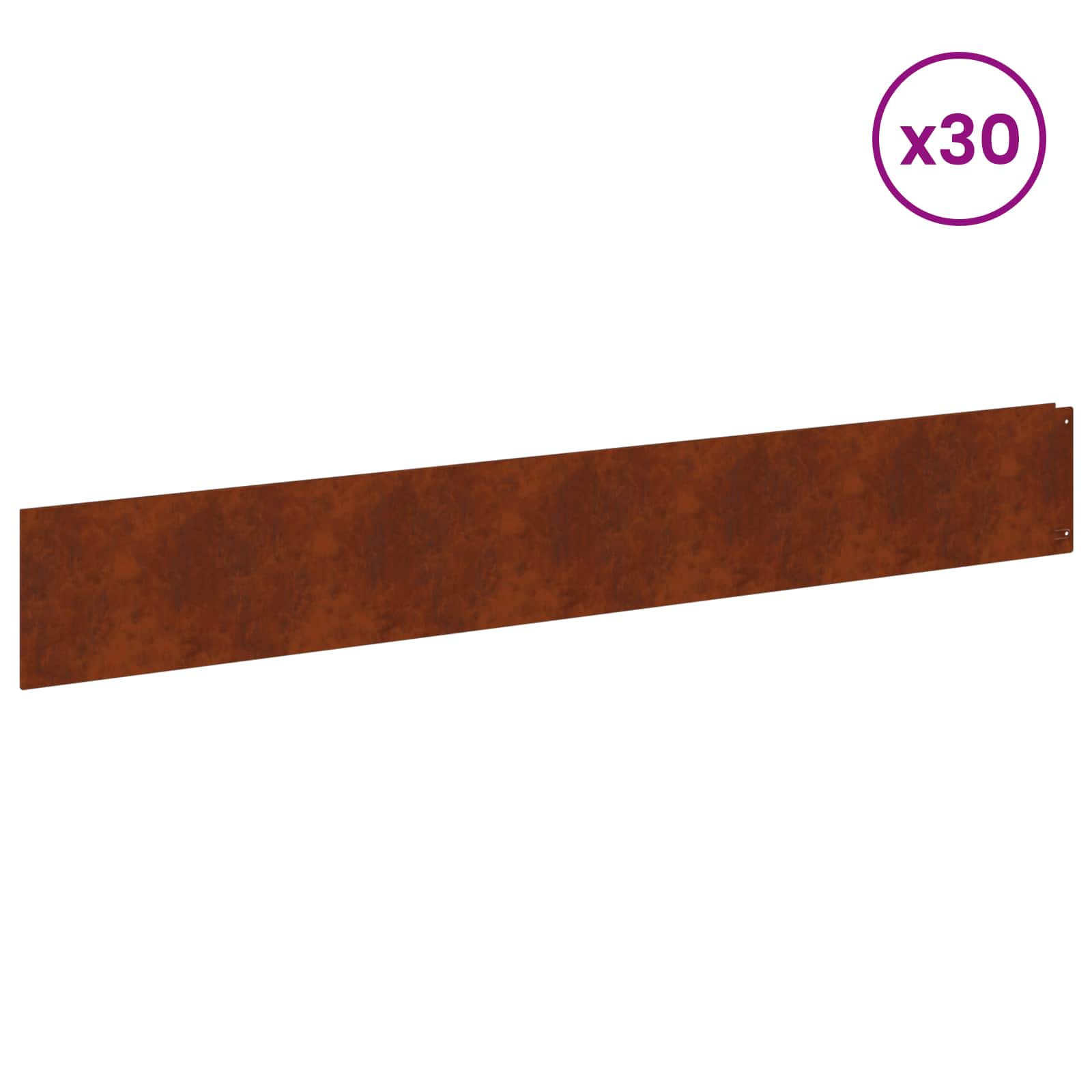 Bordura per Prato 30 pcs 100 x 15 cm Acciaio Ruggine | homemem39