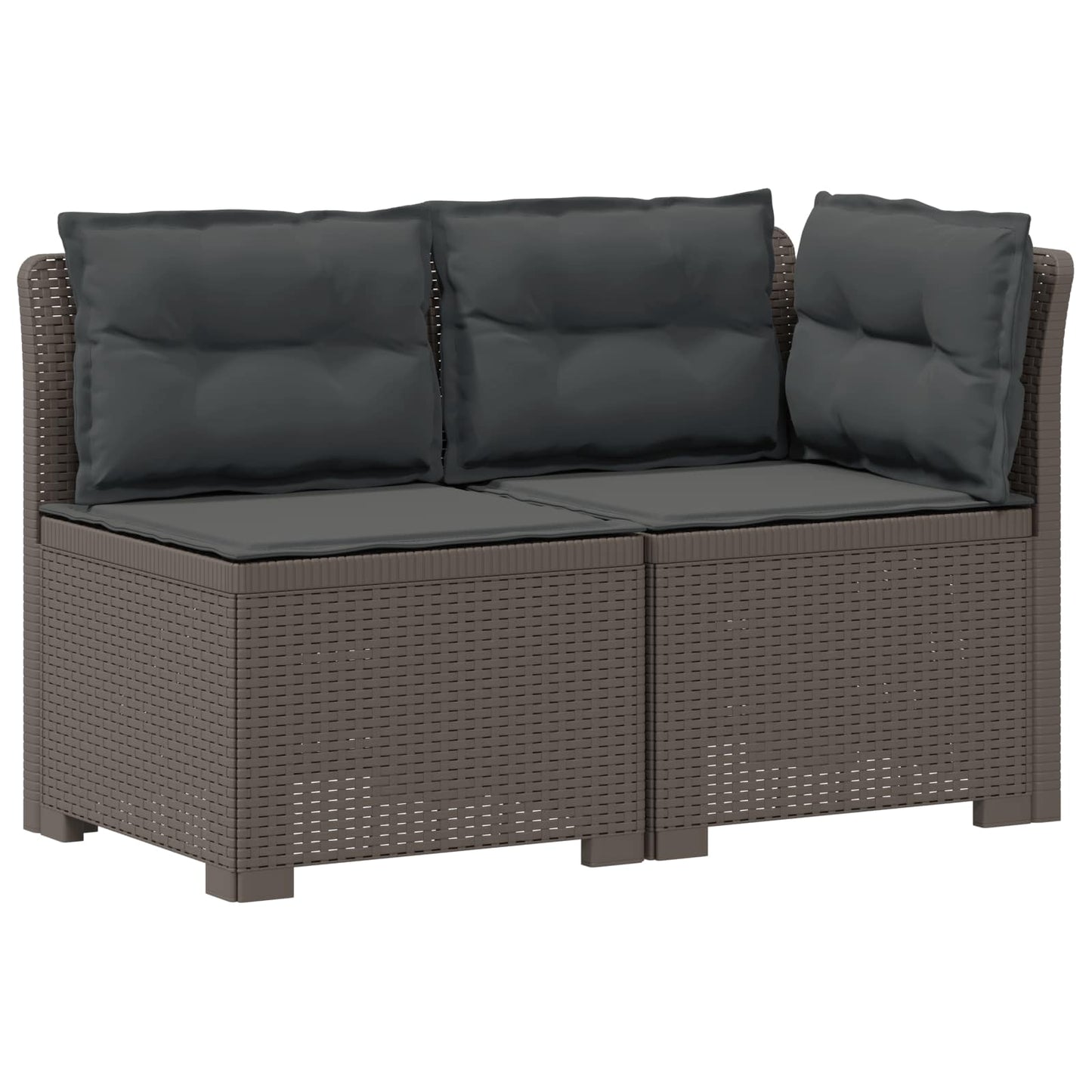 Divano da Giardino a 2 Posti con Cuscini Aspetto Rattan PP | homemem39