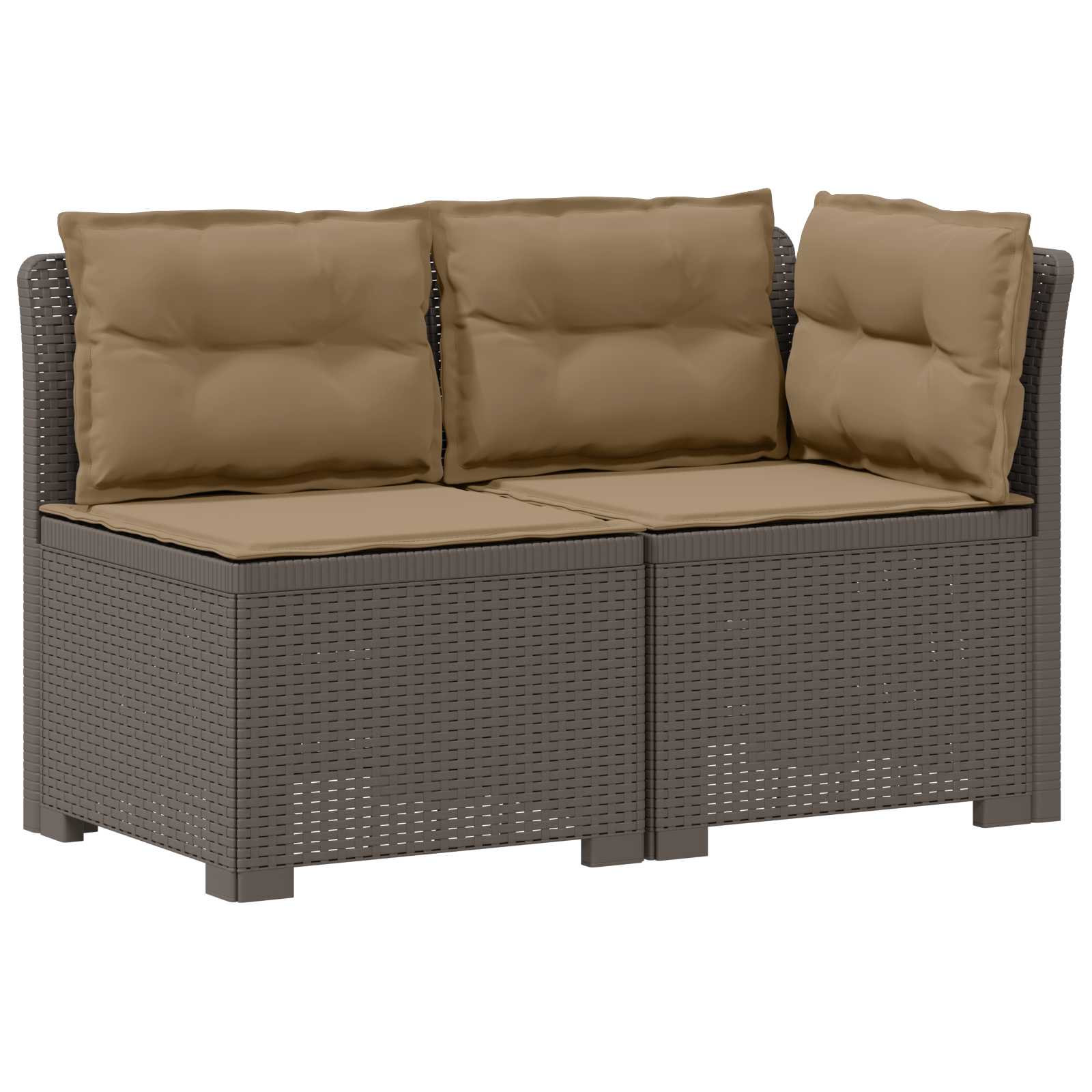 Divano da Giardino a 2 Posti con Cuscini Aspetto Rattan PP | homemem39