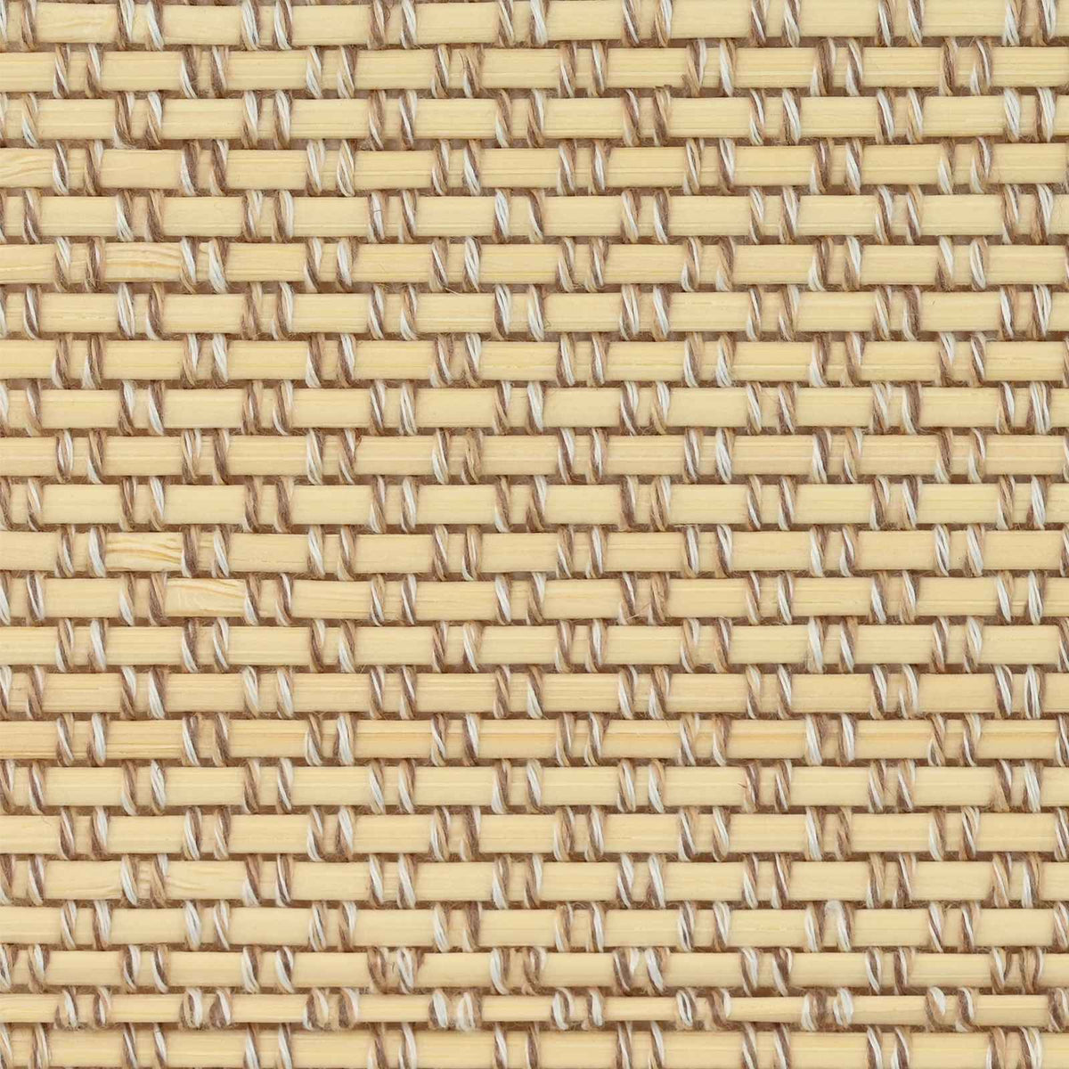 Tenda a rullo Naturale 100 x 220 cm Bambù | homemem39
