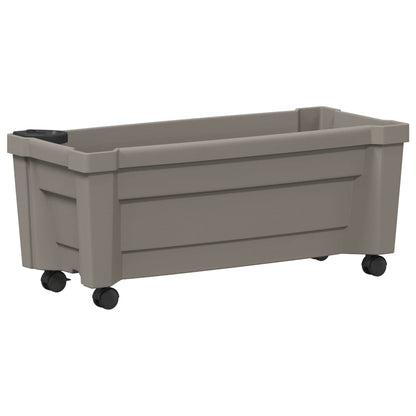 Vaso Calypso con Ruote Grigio 79 x 35 x 33 cm PP | homemem39