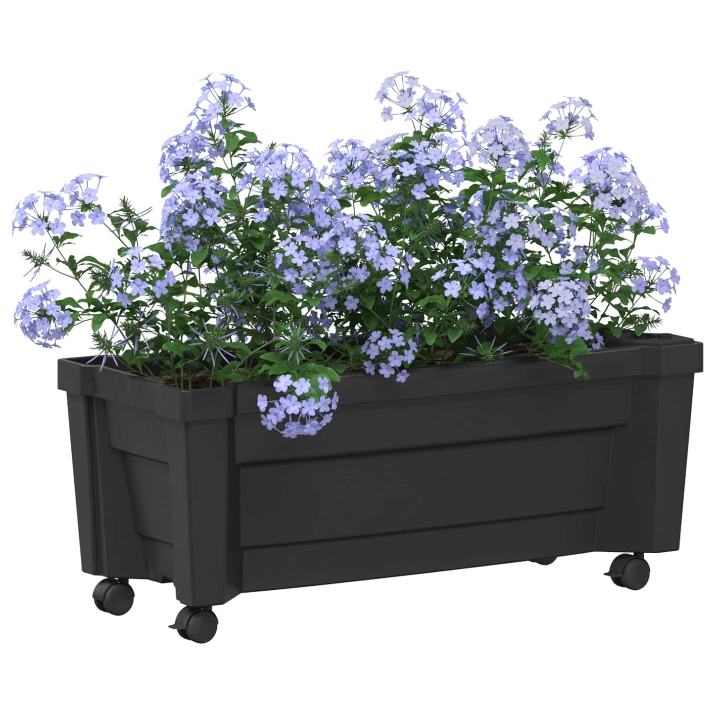Vaso Calypso con Ruote Antracite 79 x 35 x 33 cm PP | homemem39