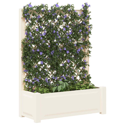 Vaso Grande con Direzione Bianco 99,5 x 43 x 133,5 cm PP | homemem39