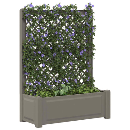 Vaso Grande con Direzione Grigio 99,5 x 43 x 133,5 cm PP