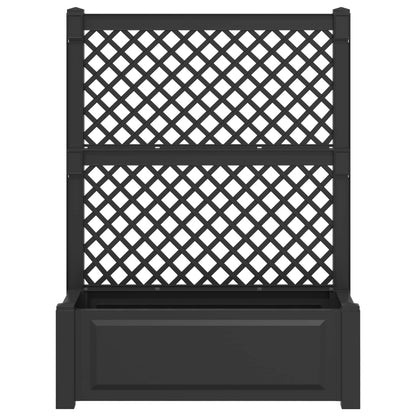 Vaso Grande con Direzione Antracite 99,5 x 43 x 133,5 cm PP | homemem39