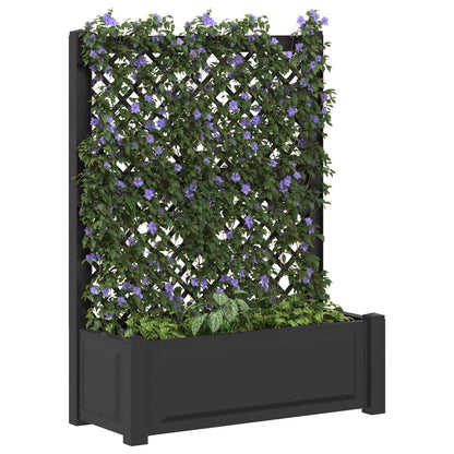 Vaso Grande con Direzione Antracite 99,5 x 43 x 133,5 cm PP | homemem39