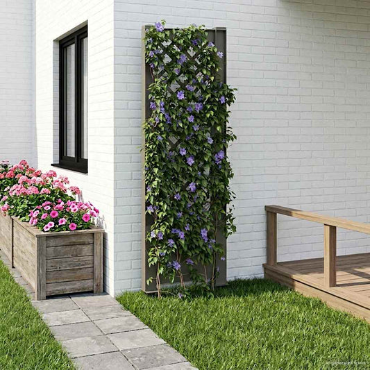 Trellis con Punta PP Grigio - homemem39