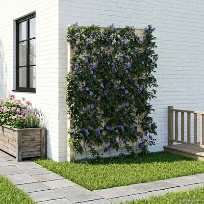 Trellis con Punta Bianco 99 x 6 x 165 cm PP | homemem39