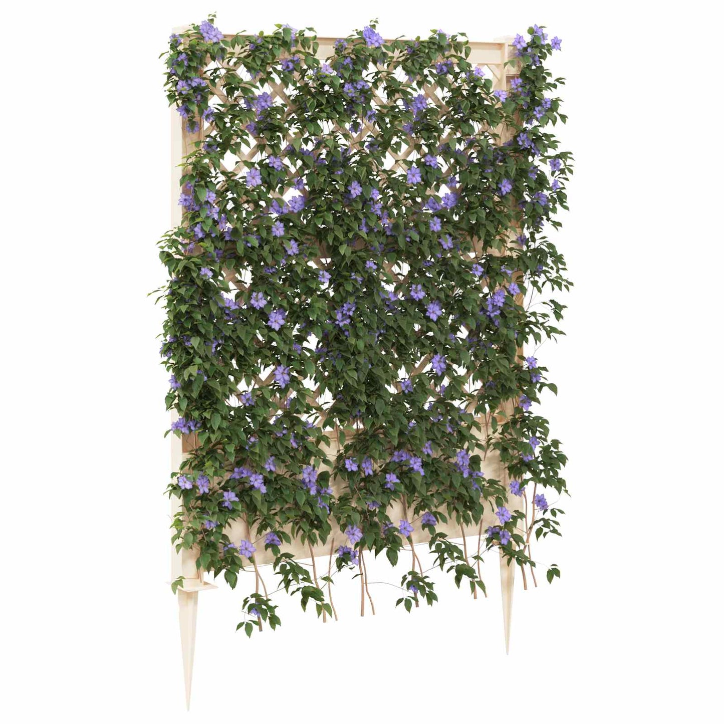 Trellis con Punta Bianco 99 x 6 x 165 cm PP | homemem39