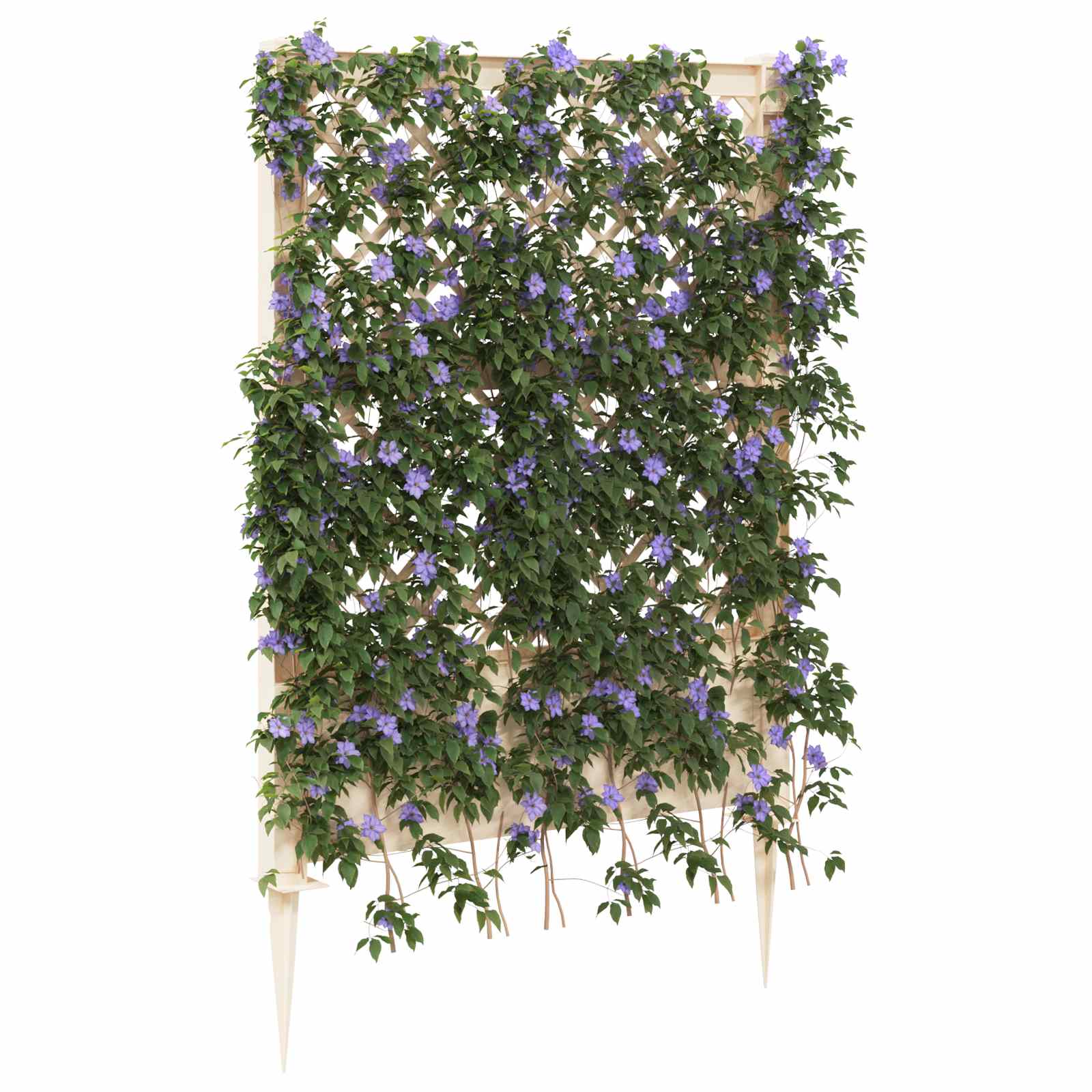 Trellis con Punta Bianco 99 x 6 x 165 cm PP | homemem39