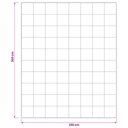 Piumone TRIER 220x260 cm 4 stagioni 220 GSM Bianco | homemem39
