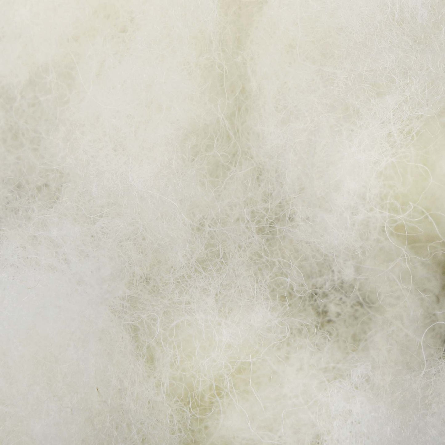 Piumone TRIER 150x200 cm 4 stagioni 350 GSM Bianco