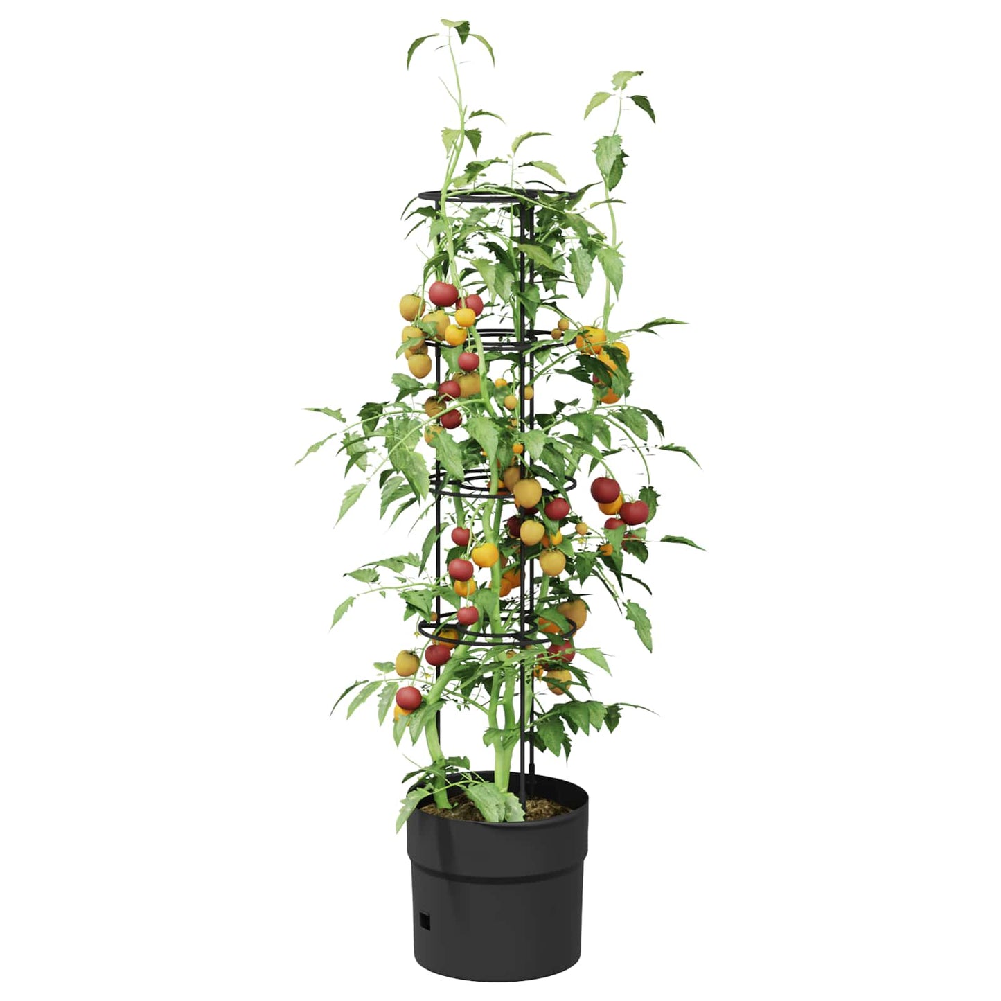 Coltivatore di pomodori Nero Ø 32 x 127 cm PP | homemem39